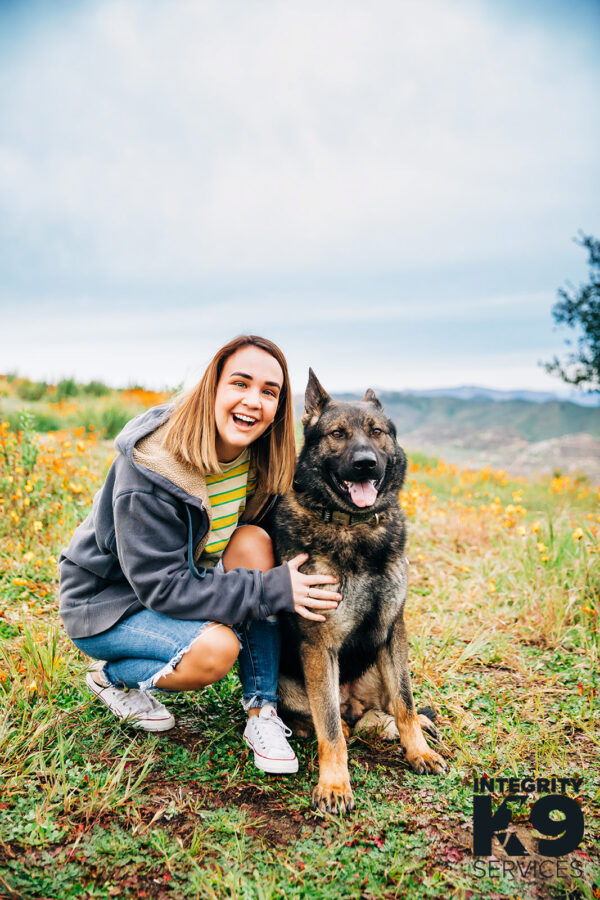 Protection Czech Shepherd with owner